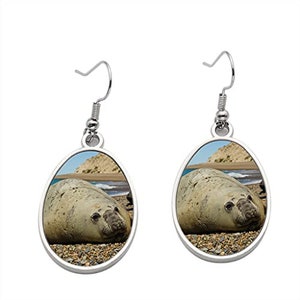 Patagonia earrings hotsell