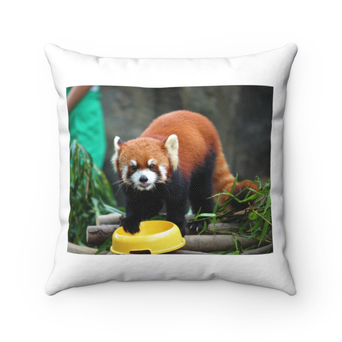 Red Panda Pillow Red Panda Throw Pillow Custom Throw Etsy