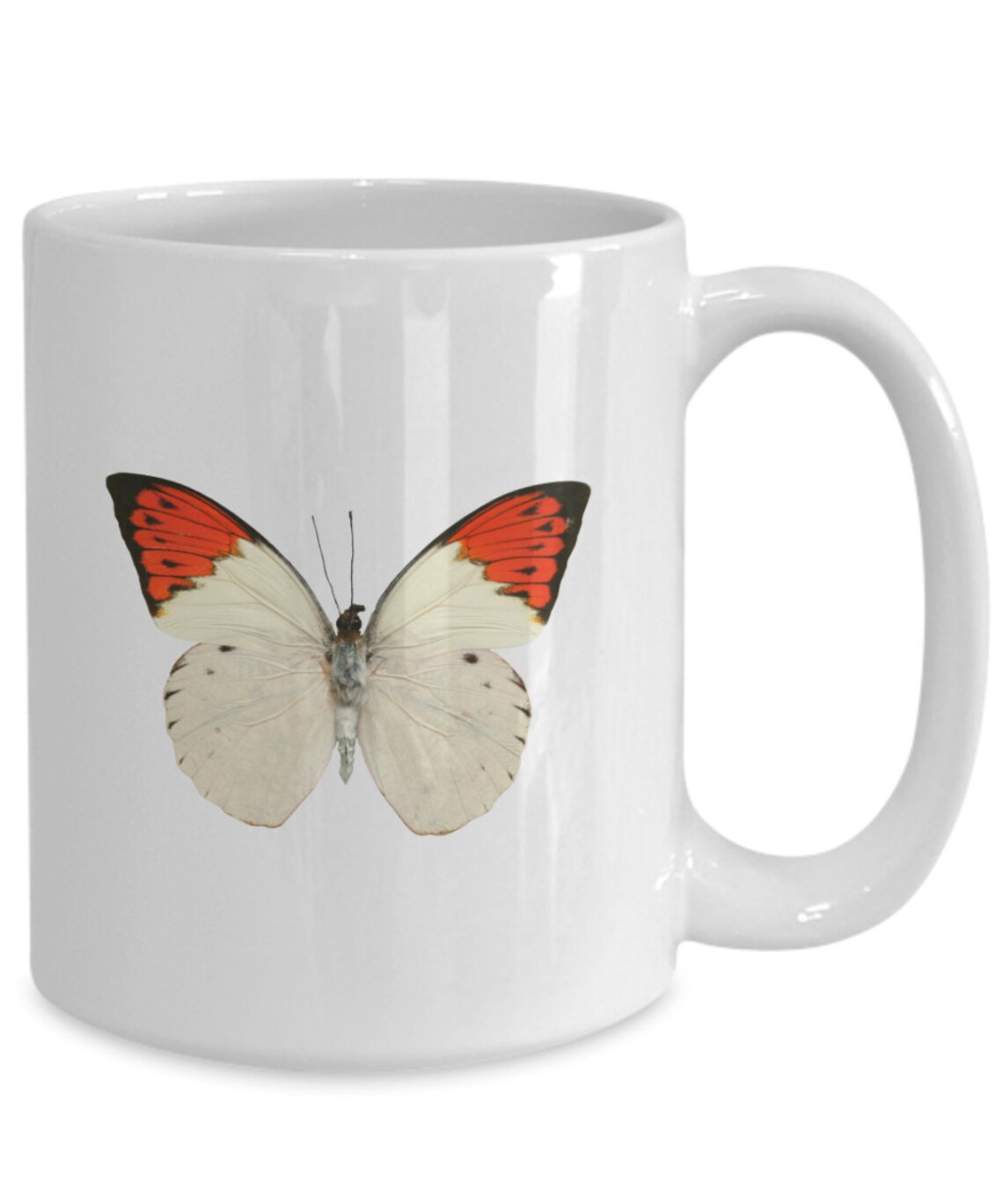 Butterfly mug butterfly coffee cup butterfly kitchen Etsy