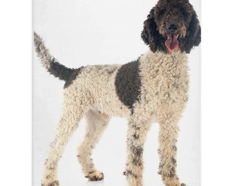 White 21 oz 3dRose wb_154177_1Portuguese Water Dog Mom-Doggie by breed-muddy brown paw print doggy lover proud mama pet owner Sports Water Bottle White 21 oz 3dRose wb_154177_1Portuguese Water Dog Mom-Doggie by breed-muddy brown paw print doggy lover proud mama pet owner Sports Water Bottle