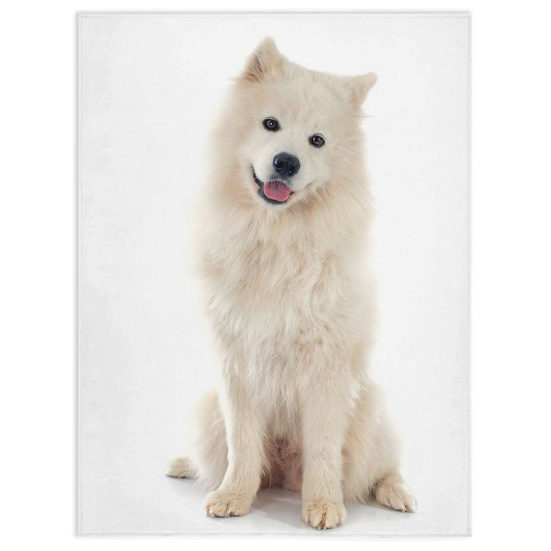samoyed blanket