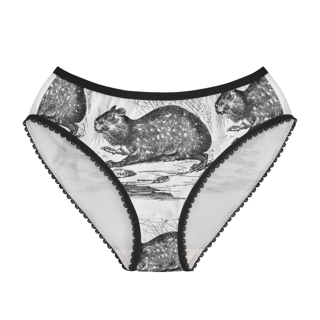 Pacas de ropa interior para mujer sale