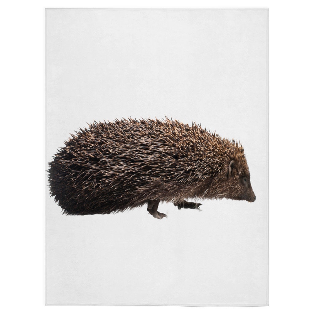 Hedgehog Isolated Blanket Hedgehog Isolated Lover Gift Etsy