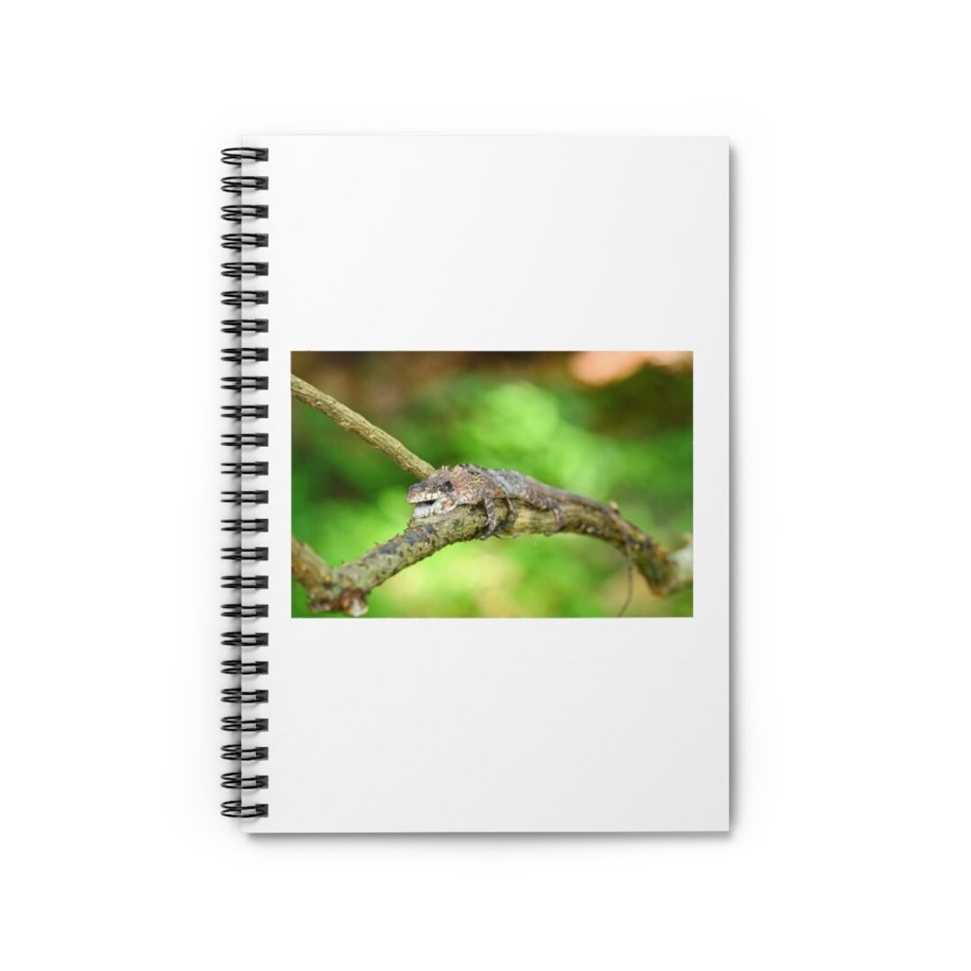 Greater Lizard Notebook Greater Lizard Journal Ruled Line Pages Gift ...