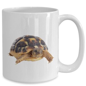 Young tortoise mug, Young tortoise coffee cup, Young tortoise kitchen decor, Funny mug, Gift idea, Coffee mug, Birthday gift