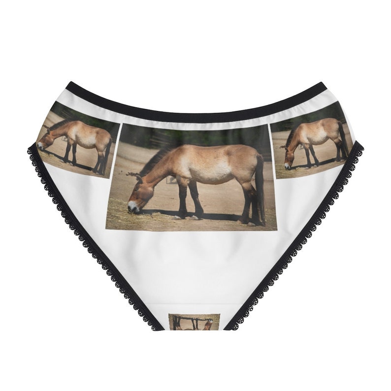 Horse Przewalskii Panties Horse Przewalskii Underwear Etsy