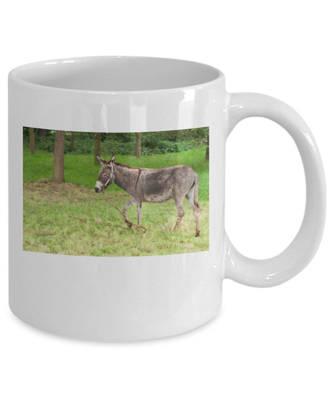 Donkey Mug Donkey Coffee Cup Donkey Kitchen Decorfunny Etsy UK