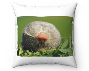 Oreiller de petit rat taupe - Petit coussin de rat taupe - Coussin personnalisé - Housse de coussin - Idée cadeau - Décor de chambre