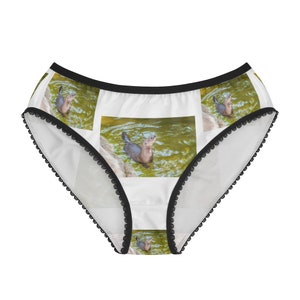 Spotted Hyena Panties, Spotted Hyena Underwear, Briefs, Cotton Briefs,  Funny Underwear, Panties for Women 