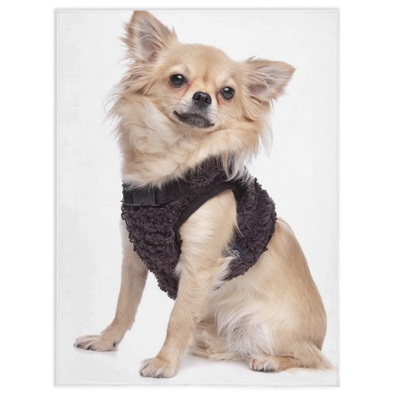 Chihuahua 1 Blanket Chihuahua 1 Lover Gift Fleece Blanket Etsy