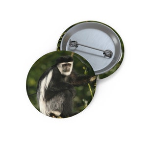 May include: A black and white colobus monkey sits on a branch in a green leafy forest. The monkey has a long, white tail and a black face with a white stripe across its forehead.