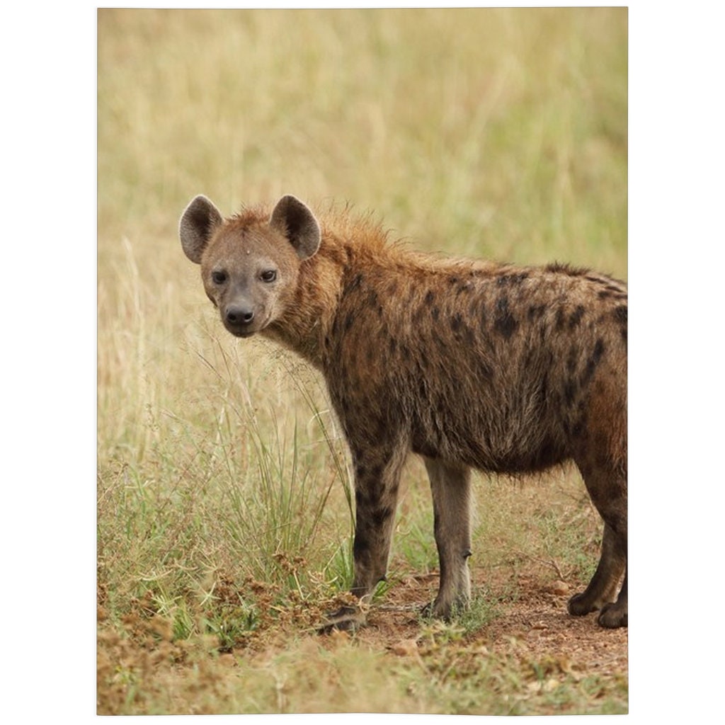 Hyena Blanket, Hyena Lover Gift, Fleece Blanket, Gifts