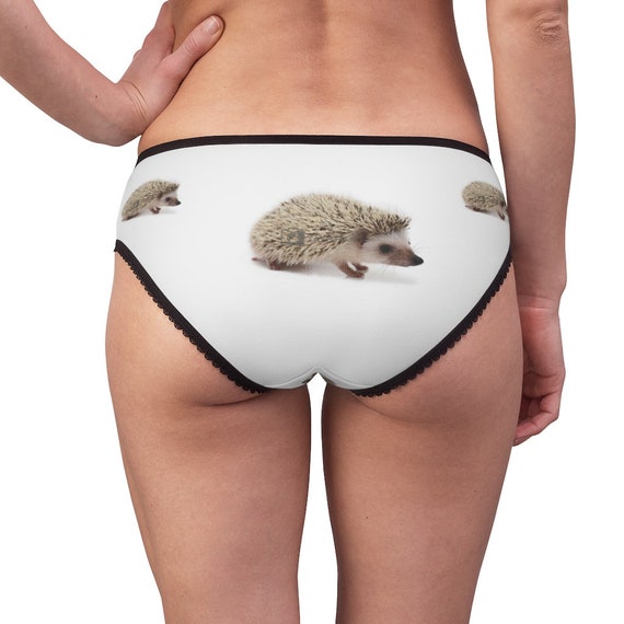 Hedgehog Panties,hedgehog Underwear, Briefs, Cotton Briefs, Funny Underwear,  Panties for Women -  Denmark