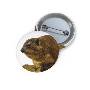 Puede incluir: Un daman roquero marrón y gris de pie sobre una roca. El daman está mirando hacia la izquierda de la imagen.