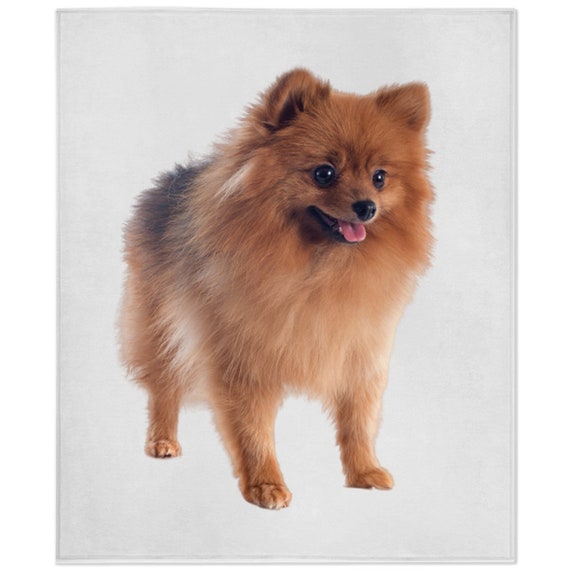 Pomeranian Blanket Pomeranian Lover Gift Fleece Blanket Etsy