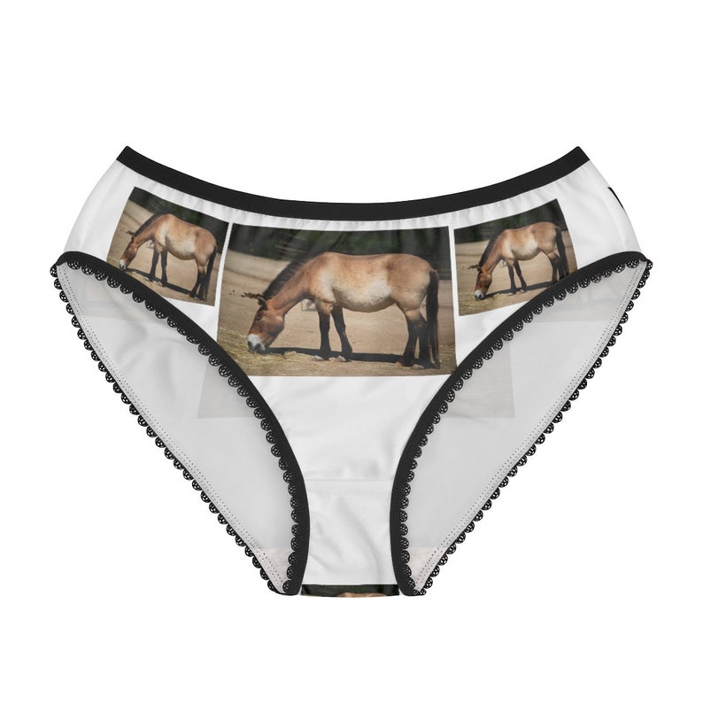 Horse Przewalskii Panties Horse Przewalskii Underwear Etsy