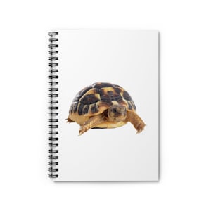 Junge Schildkröte Notizbuch - Junge Schildkröte Journal - Lined Line Seiten - Geschenkidee - Dankbarkeit Journal - Erinnerungsbuch - Tagebuch