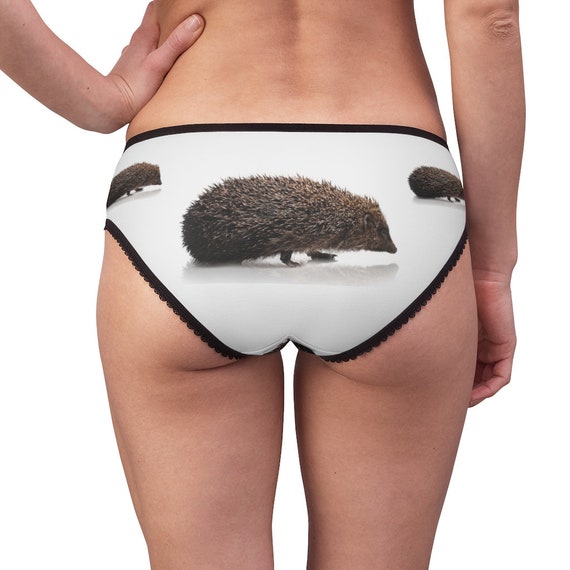 Hedgehog Isolated Panties, Hedgehog Isolated Underwear, Briefs, Cotton  Briefs, Funny Underwear, Panties for Women -  Canada
