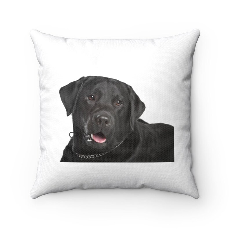 black labrador pillow