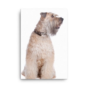 Wheaten Terrier Canvas, Wheaten Terrier Wall Canvas Print, Wheaten Terrier Decor, Portrait, Wall Art, Artwork Wall Hanging