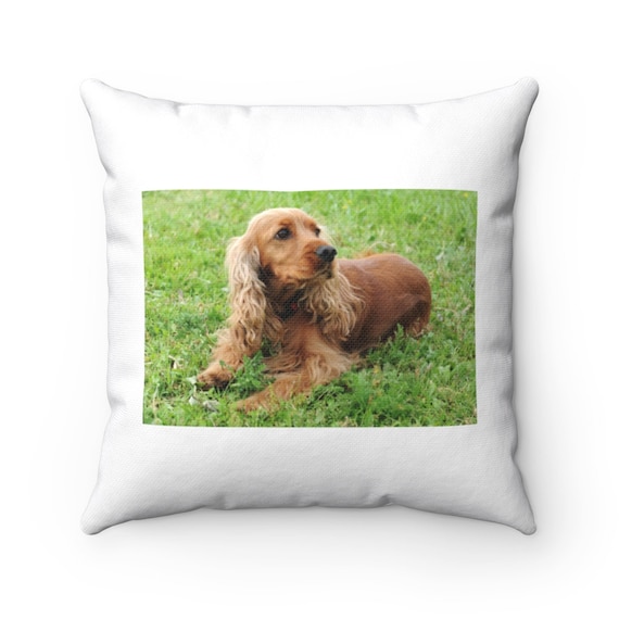 Cocker spaniel hotsell gift ideas
