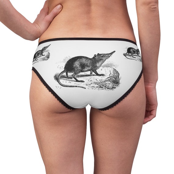 Ask Me About My Explosive Diarrhea Panties, Underwear, Briefs, Cotton  Briefs, Funny Underwear, Panties For Women Black at  Women's Clothing  store