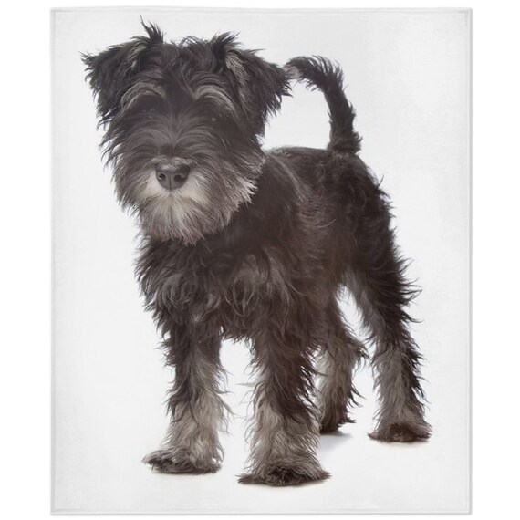 Miniature schnauzer blanket hotsell