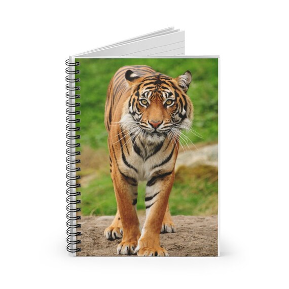 Bengal Tiger Notebook Bengal Tiger Journal Ruled Line 