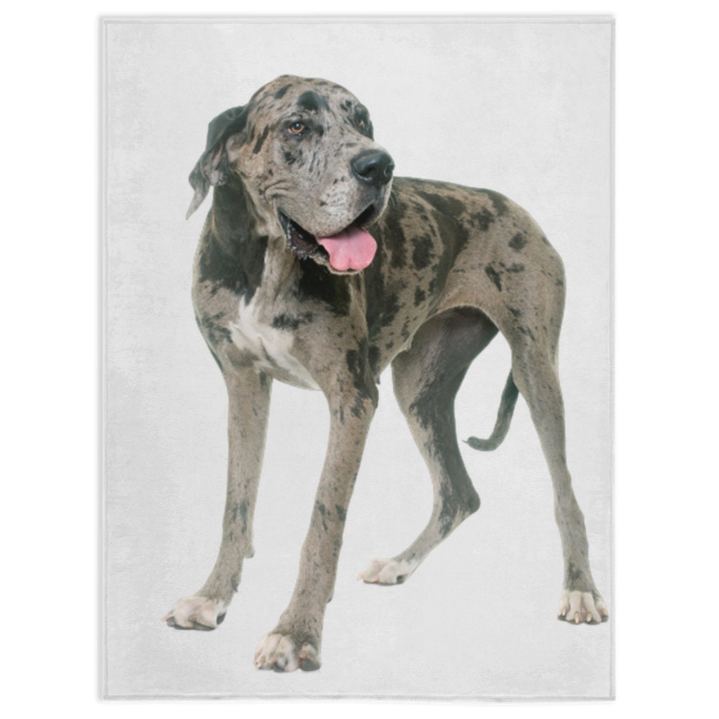 Great Dane 4 Blanket Great Dane 4 Lover Gift Fleece Blanket Etsy