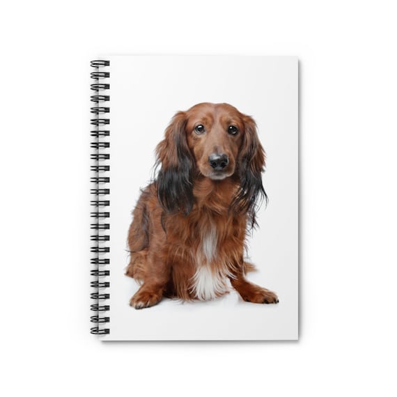 Dachshund Notebook Dachshund Journal Ruled Line Pages Etsy