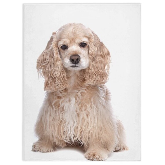 American Cocker Spaniel Blanket American Cocker Spaniel Lover Gift Fleece Blanket Gifts Personalized Blanket Etsy Canada