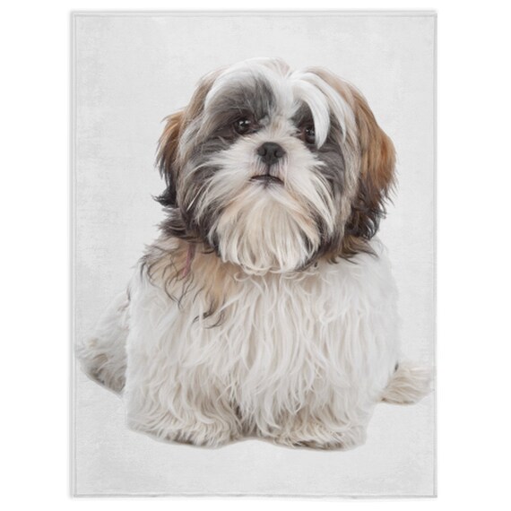 Shih Tzu 3 Blanket Shih Tzu 3 Lover Gift Fleece Blanket Gifts Personalized Blanket Etsy Australia