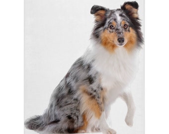 sheltie throw blanket