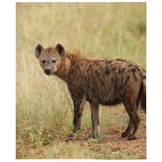 Hyena Blanket, Hyena Lover Gift, Fleece Blanket, Gifts