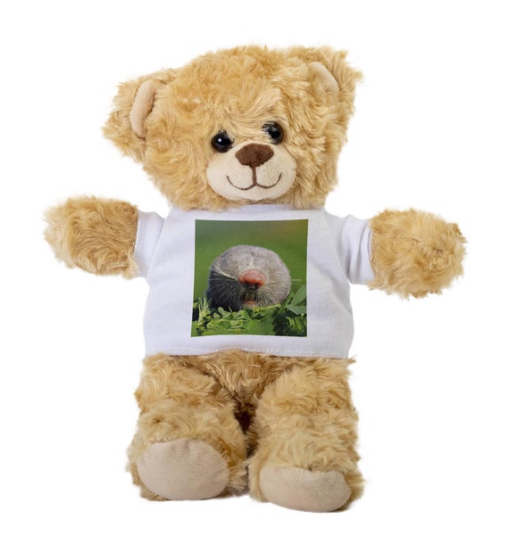 Portrait of Lesser Mole Rat Teddy Bear Gift Stuffed Animal Plush