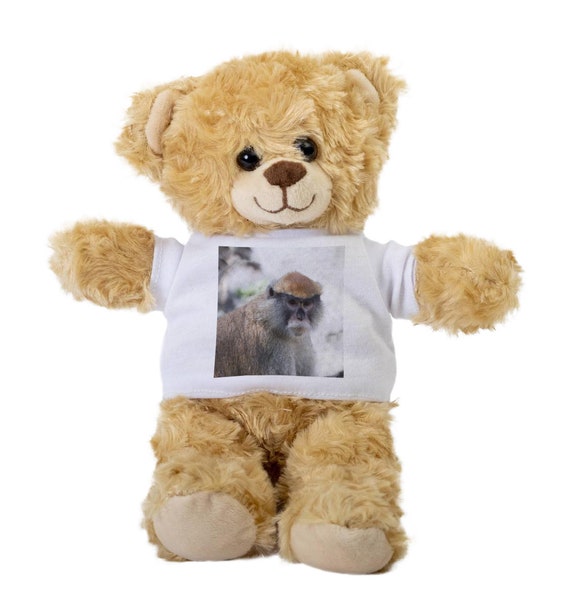 monkey teddy bear online