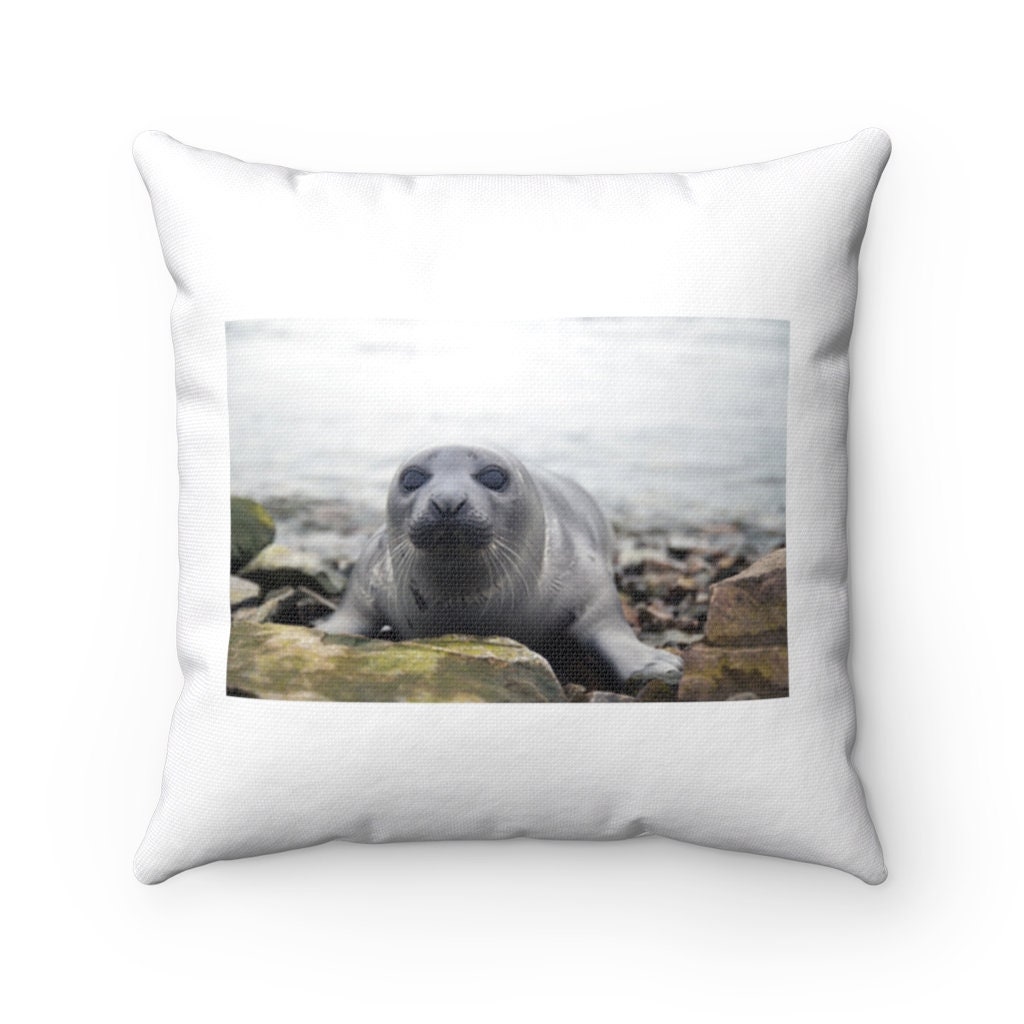 Harp Seal Pillow Harp Seal Throw Pillow 