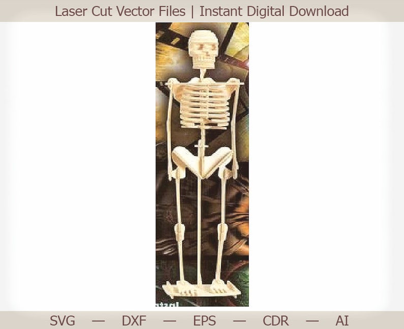 Human Skeleton Vector Model Laser Cut File 3d Puzzle Etsy