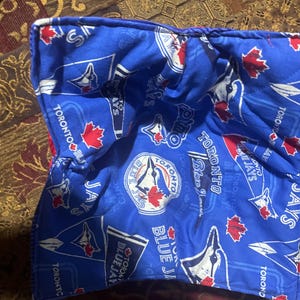 Team sports bowl cozy