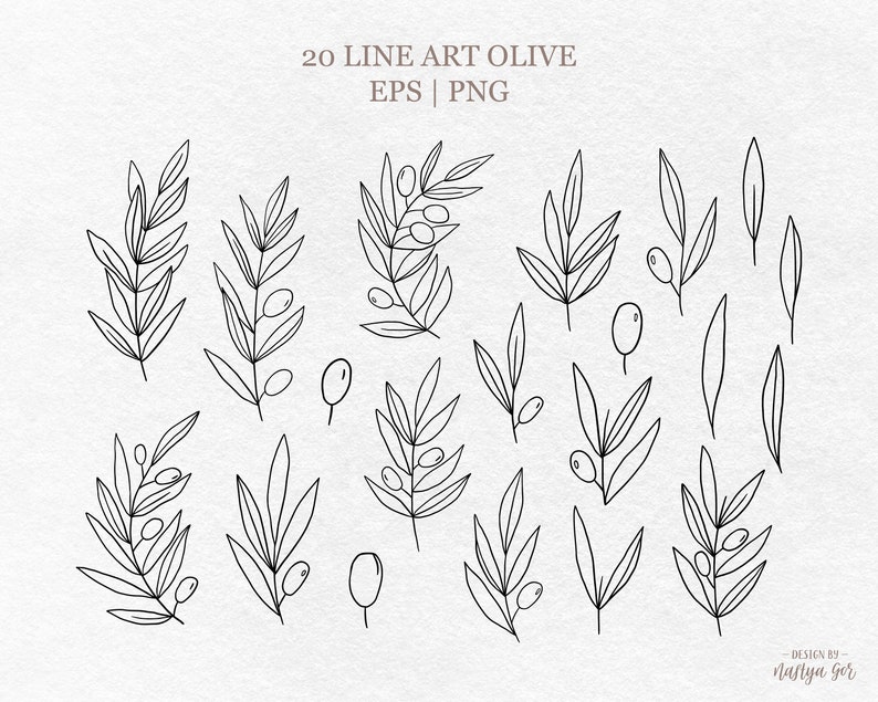 Line Art Olive Branch Clipart Outline Olive Leaves Botanical | Etsy