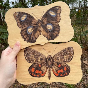 May include: Two wooden plaques with butterfly designs burned into the wood. The top plaque features a brown butterfly with blue and white markings. The bottom plaque features a brown butterfly with orange and red markings.