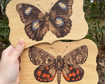 Wood Burn Sun Moth & Blue Moon Butterfly
