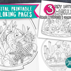 Reptile Terrarium Coloring Pages: Snake, Chameleon, Tortoise (Digital Download)