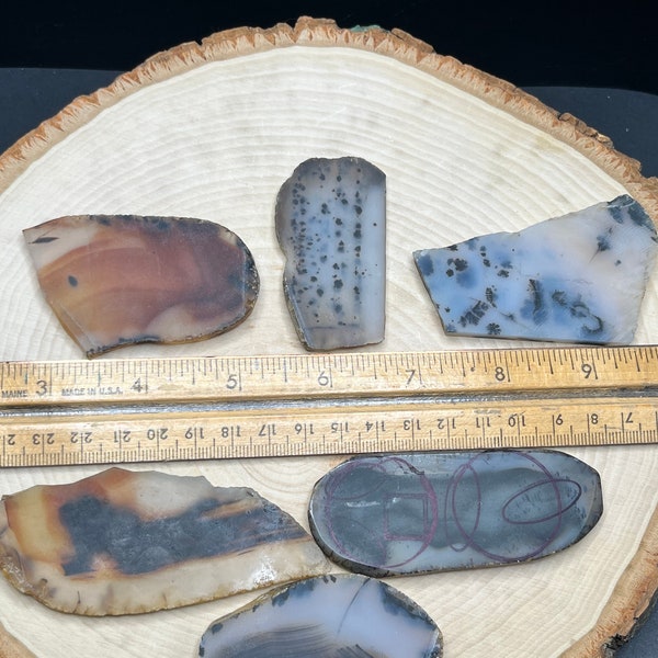 Outstanding Montana Agate Slabs. Old Material. 6 Slabs. 155 Grams. Rough Lapidary Slabs. Amazing Dendrites.