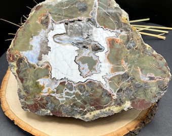 One Of A Kind Polished OMR Thunderegg Half. Rarely Seen Location. 7” x 5.5” 4 Pounds. Wasco County, Oregon.