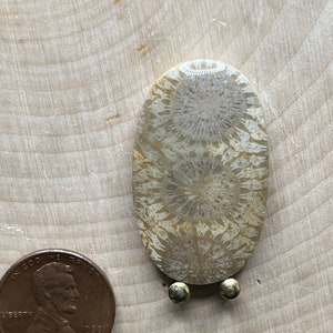 Beautiful And Tall Fossil Coral Cabochon. Amazing Patterns. 34mm x 20mm. 8.6 Grams. Back Polished.