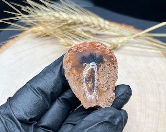 Rare Robinson Ranch Plume Agate. Polished Nodule. 1.5” x 2”. 50 Grams. Oregon.