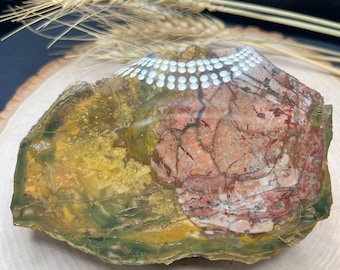 Excellent Morrisonite Jasper Polished Display Piece. Amazing Colors With Great Designs. 4.5” x 3” Polished Face. 340 Grams.