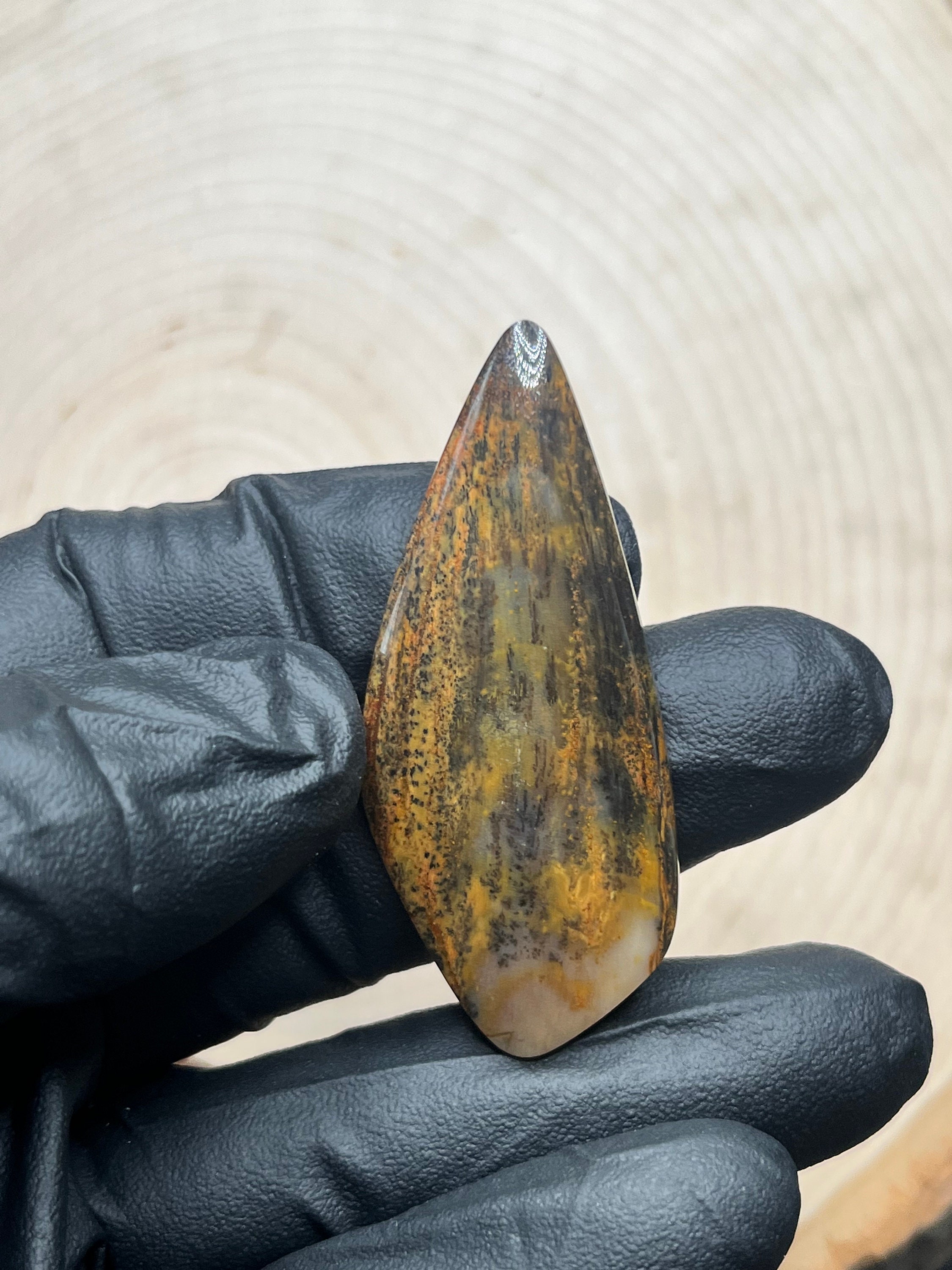Washington petrified wood - Etsy 日本
