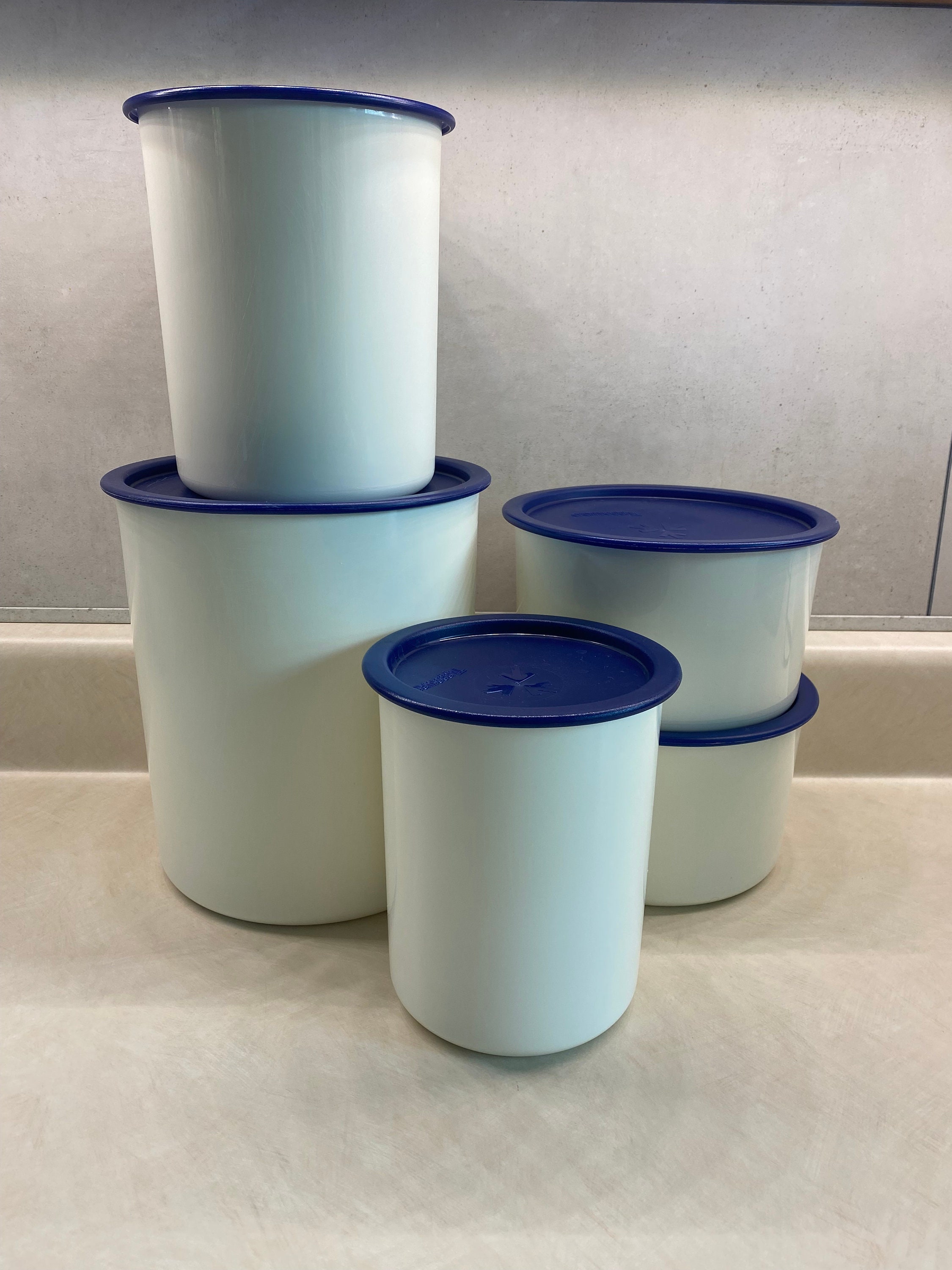Tupperware Peacock Canisters Set of 4 Blue Liquid Tight Seals /Lids Brand  New